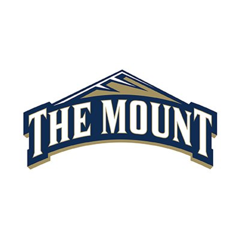 Mount Saint Mary's University